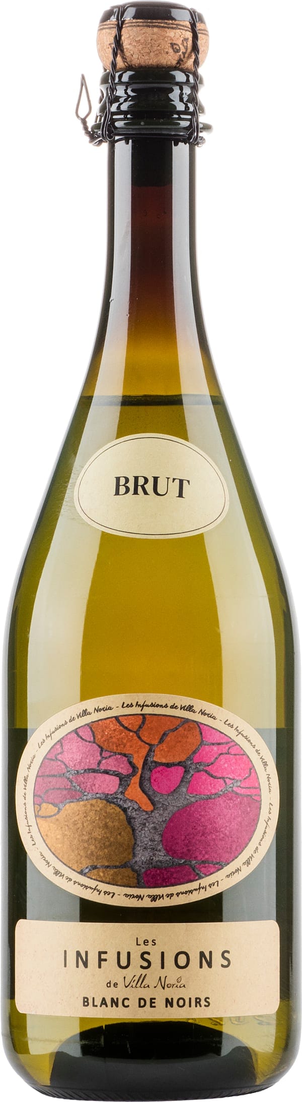 Les Infusions de Villa Noria Blanc de Noirs Brut 2024 muovipullo